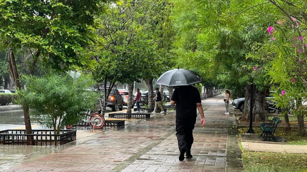 Clima en Yucatán: reporte del viernes 2 de agosto