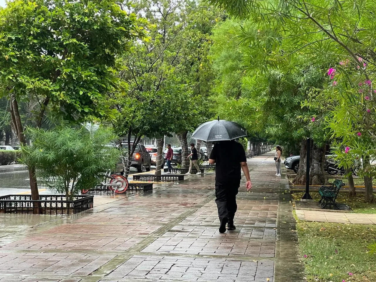 Lluvias y algunas tormentas se pronostican para este viernes 2 de agosto debido a los efectos de una onda tropical que se encuentra sobre el mar Caribe.- Foto de archivo