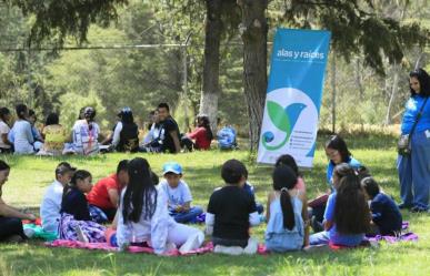 Deja volar tu creatividad en el Festival Tengo un Sueño 2024