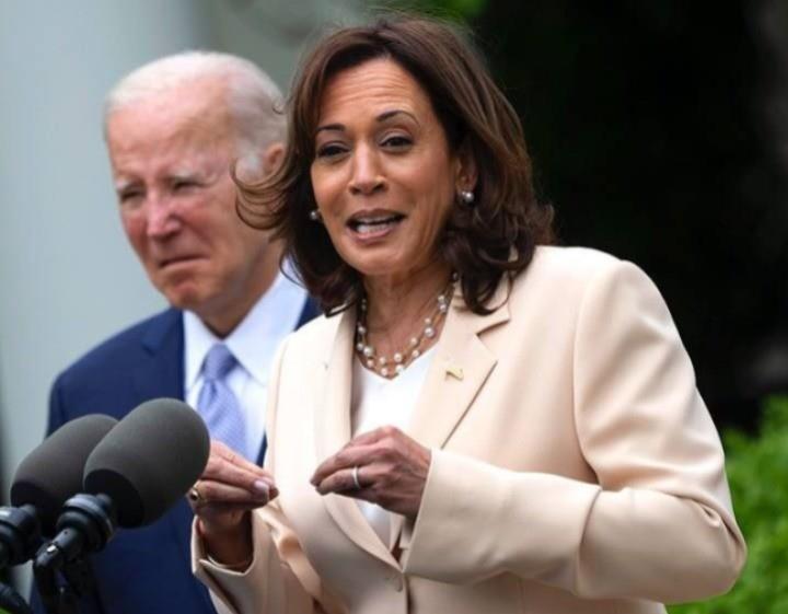 Obtiene Kamala Harris mayoría de votos para ser candidata demócrata