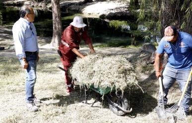 Escobedo combate Dengue, Zika y Chinkungunya con operativo de fumigación