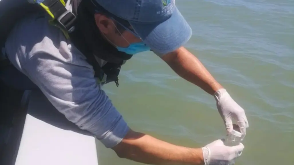 Alertan sobre contaminación en Playa Tecolote: no es apta para uso