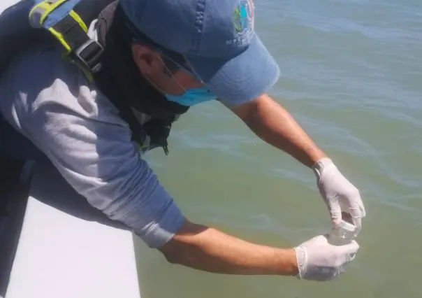 Alertan sobre contaminación en Playa Tecolote: no es apta para uso