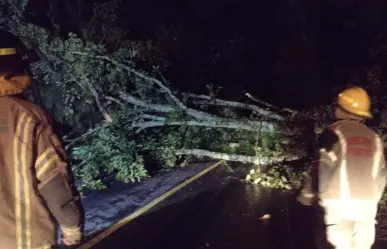 Lluvias causan caída de árboles y cierre de carreteras en Tenancingo