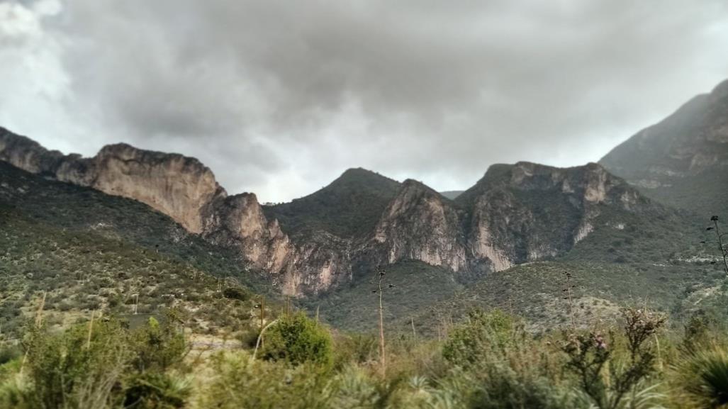 PROFAUNA tendrá reforestación en el Cañón de San Lorenzo en Saltillo