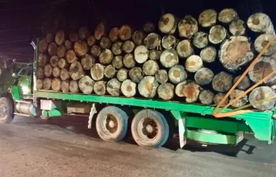 Caen tres presuntos talamontes, uno menor de edad en Valle de Bravo