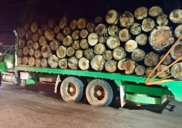 Caen tres presuntos talamontes, uno menor de edad en Valle de Bravo