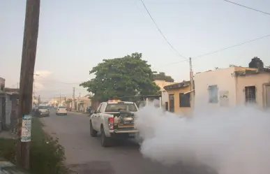 Continúan las acciones de fumigación en Mérida y municipios de Yucatán