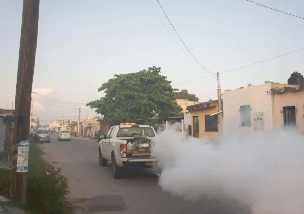 Continúan las acciones de fumigación en Mérida y municipios de Yucatán