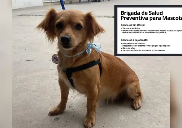 ¡Aprovecha los servicios gratuitos y a bajo costo para tu mascota!