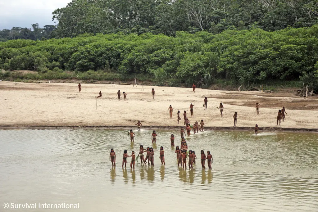 Tribu de la Amazonía defiende sus tierras; atacan a taladores de árboles