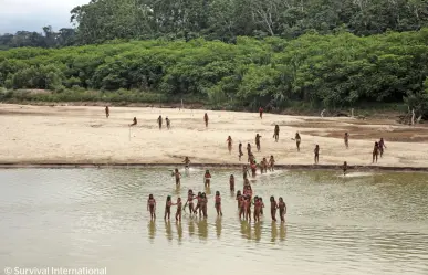 Tribu de la Amazonía defiende sus tierras; atacan a taladores de árboles