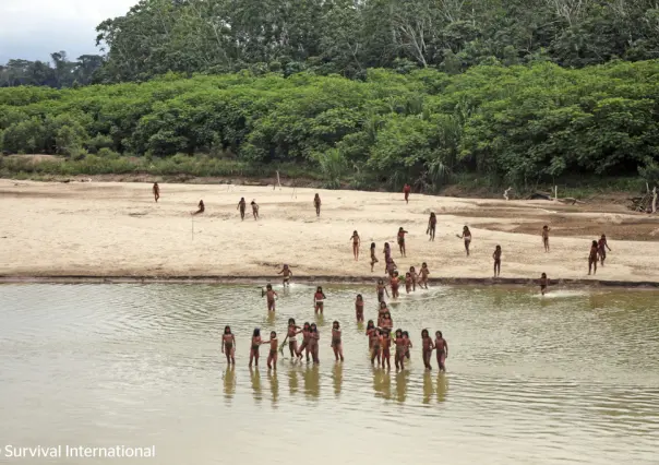 Tribu de la Amazonía defiende sus tierras; atacan a taladores de árboles