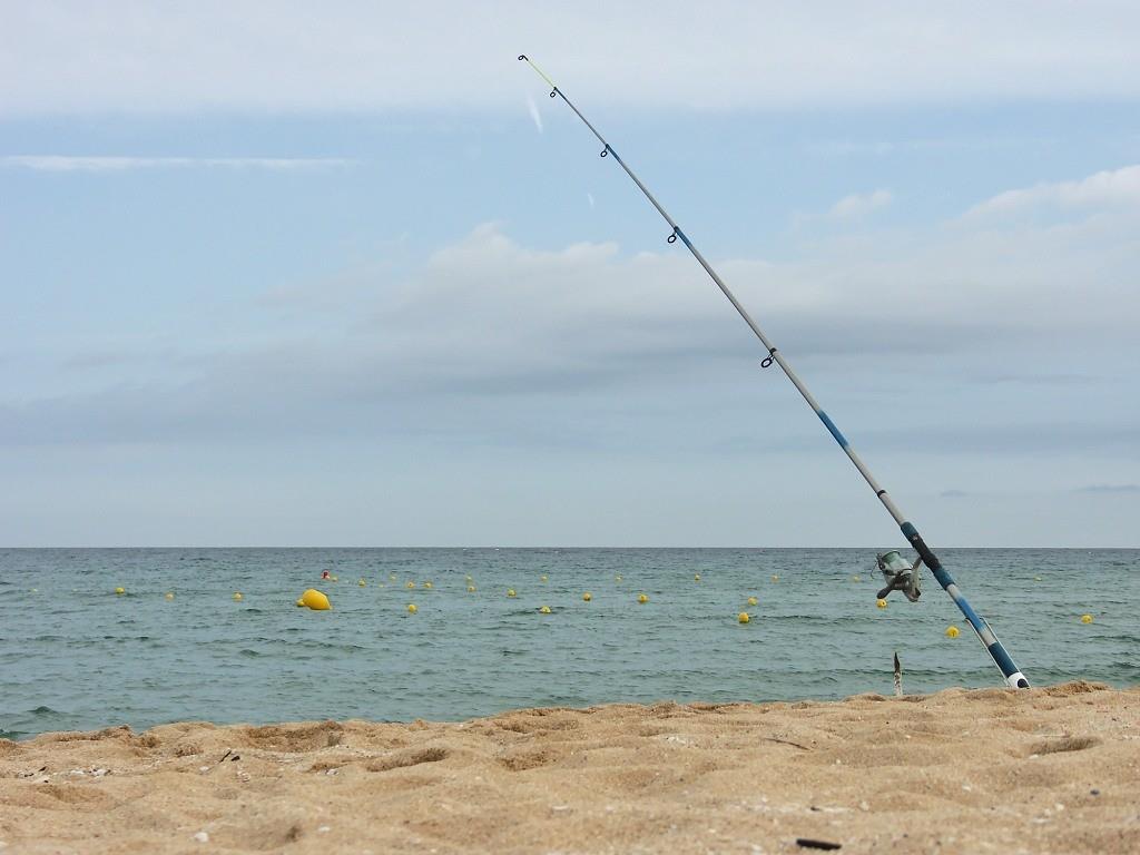 Inscríbete al torneo de pesca de orilla en Las Barrancas