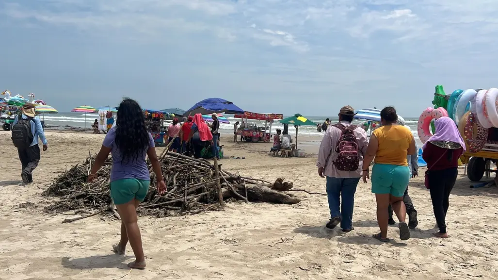 Titánica labor para limpiar Miramar; 5 mil toneladas de lirio y palizada