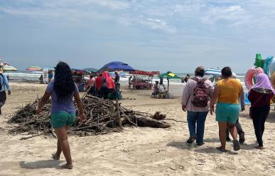 Titánica labor para limpiar Miramar; 5 mil toneladas de lirio y palizada