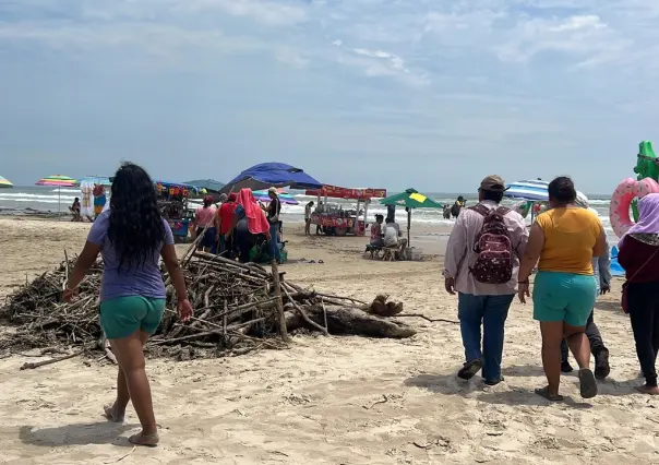 Titánica labor para limpiar Miramar; 5 mil toneladas de lirio y palizada