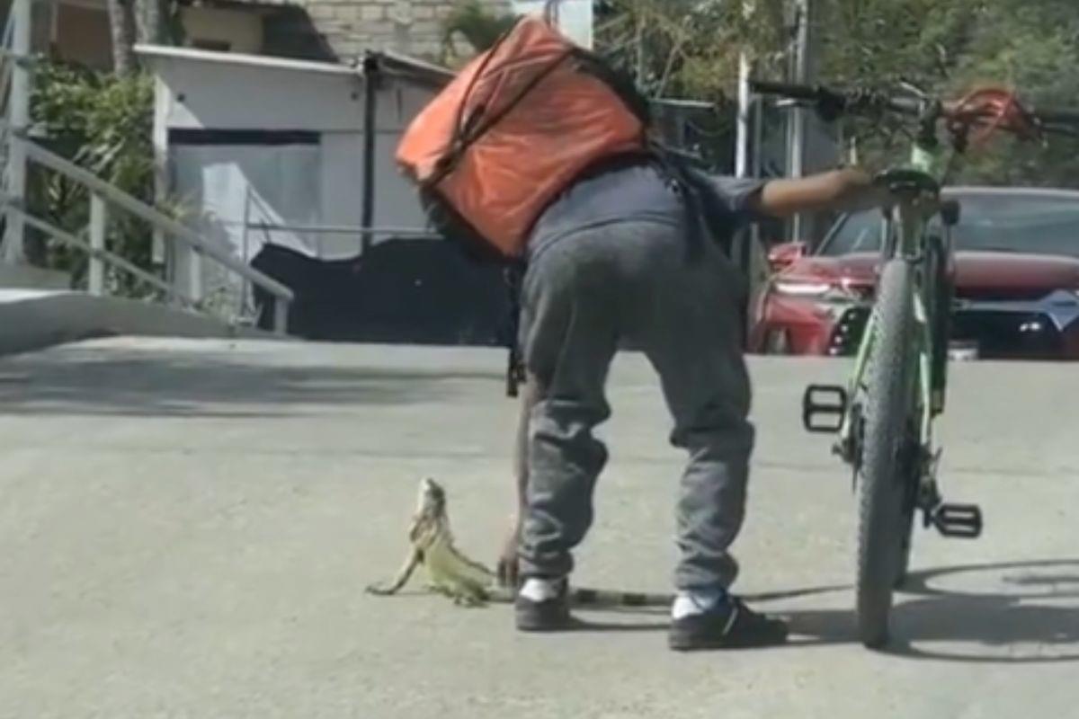 Hombre y una iguana en Puerto Vallarta. Foto: @soyluisgabriel1