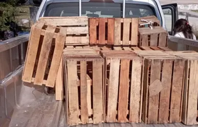 Central de Abasto regala composta, guacales y tarimas de madera
