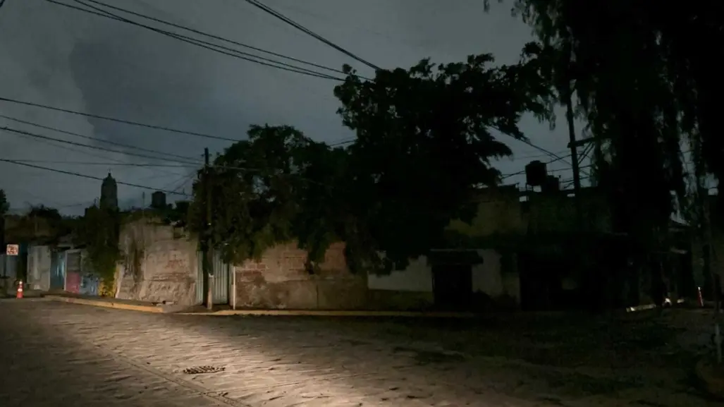 Deja lluvia árboles caídos y daños en Tepotzotlán (VIDEO)