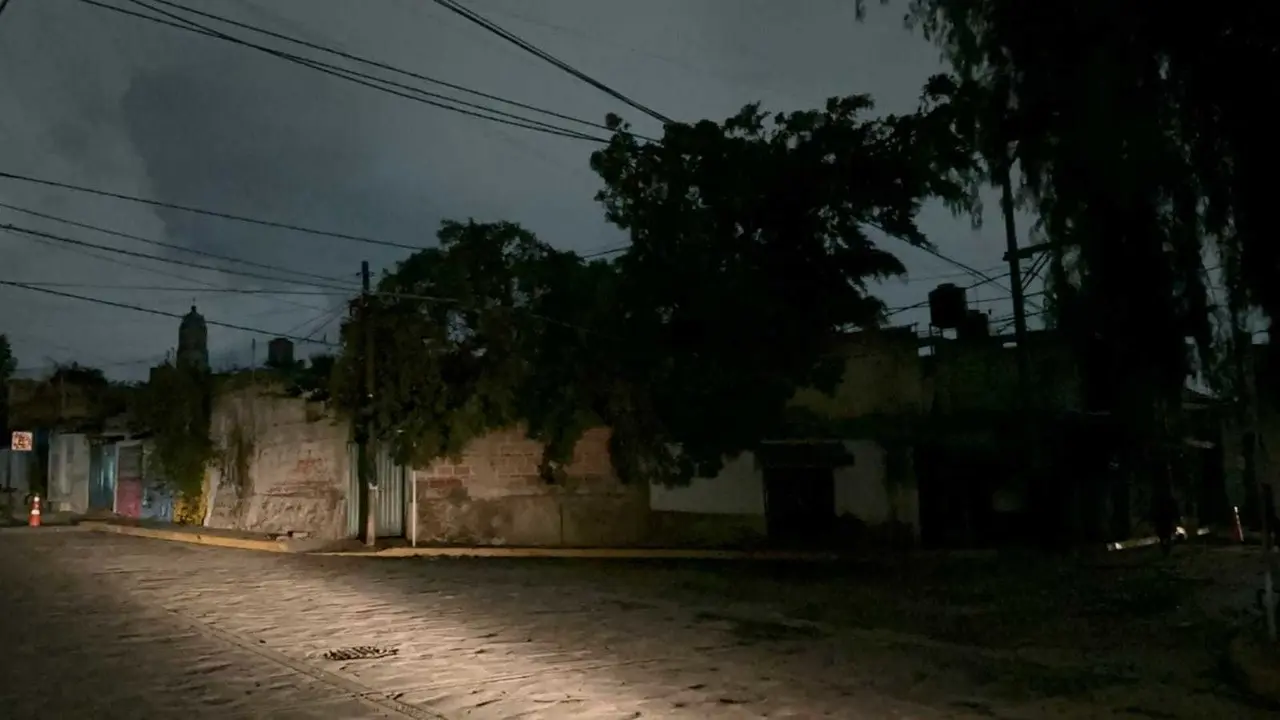 La lluvia y ráfagas de viento dejaron árboles y una barda caídos, además afectaciones en el barrio San Martin y Texcacoa. Foto: Cortesía