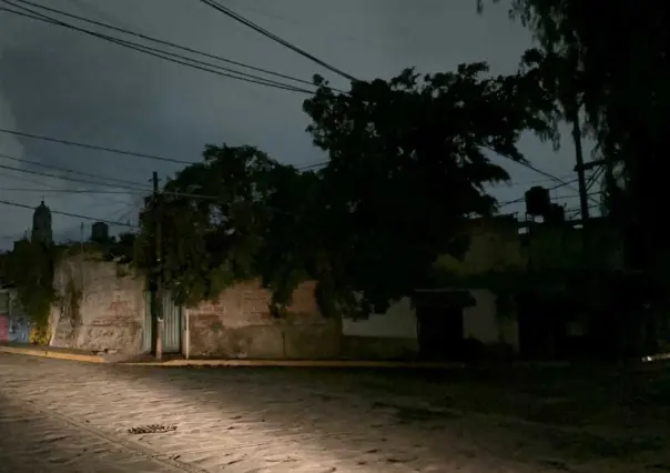 Deja lluvia árboles caídos y daños en Tepotzotlán (VIDEO)