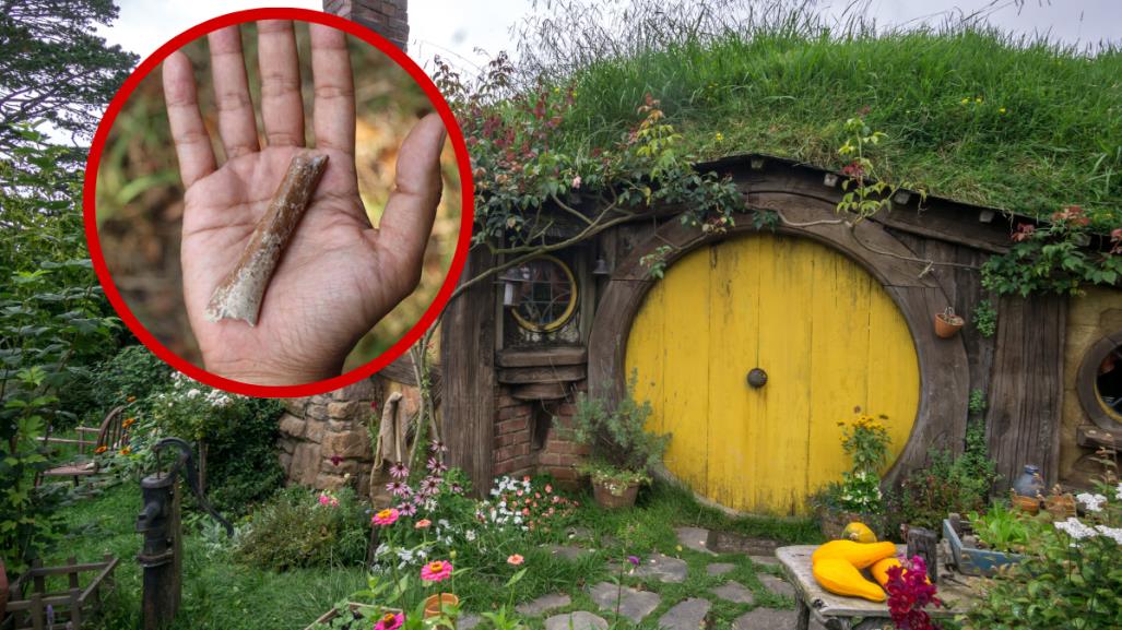 Los hobbits sí existieron; nuevos fósiles lo revelan