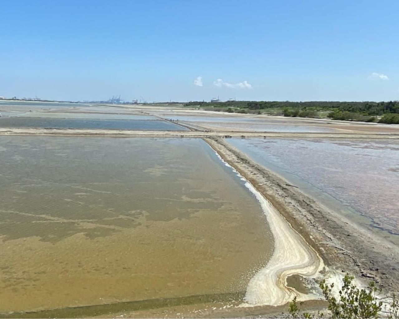 Salineras De Lomas del Real en Altamira, Tamaulipas. Foto: Sanju Pineda