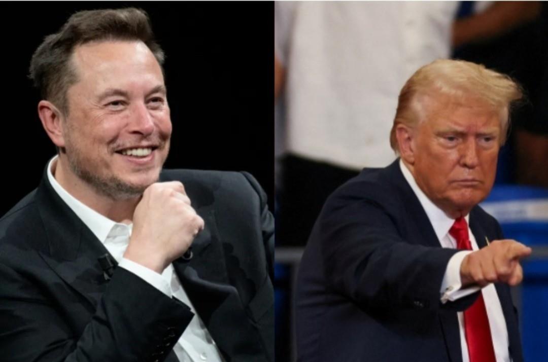 Elon Musk junto al ex presidente de los Estados Unidos, Donald Trump. Foto: Canva.