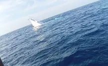 Se hunde un yate frente a las costas de Yucatán