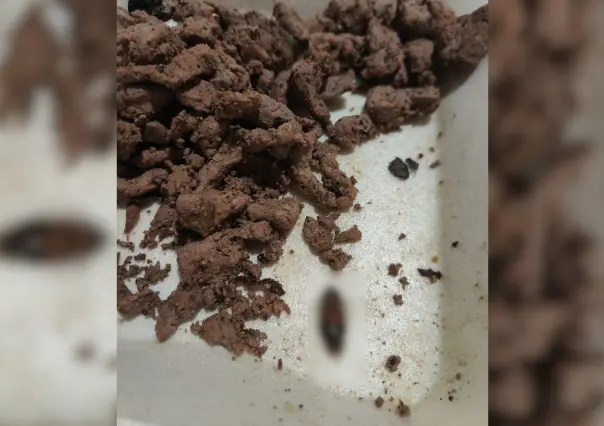 Cliente encuentra una cucaracha en su comida de restaurante en Progreso