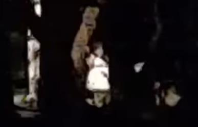 VIDEO: Captan presunto fantasma de una niña en Parque Guadiana