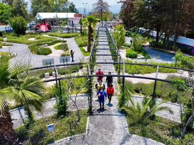 ¿Ya conoces Papalotla? Este es el lugar de mariposas mexiquense