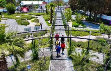 ¿Ya conoces Papalotla? Este es el lugar de mariposas mexiquense