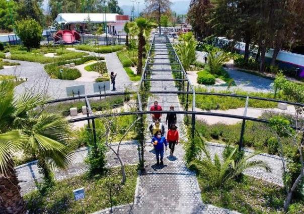 ¿Ya conoces Papalotla? Este es el lugar de mariposas mexiquense