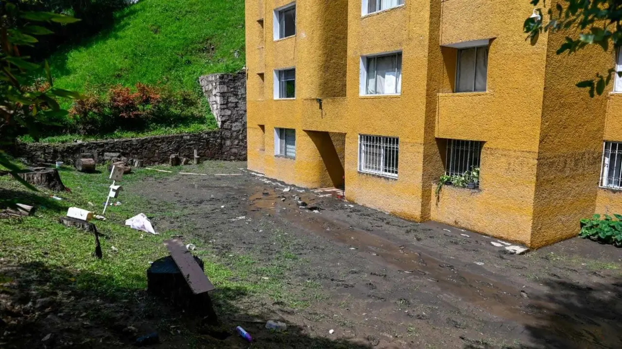 Limpian calles y avenidas; retiran basura, árboles y escombros en Naucalpan