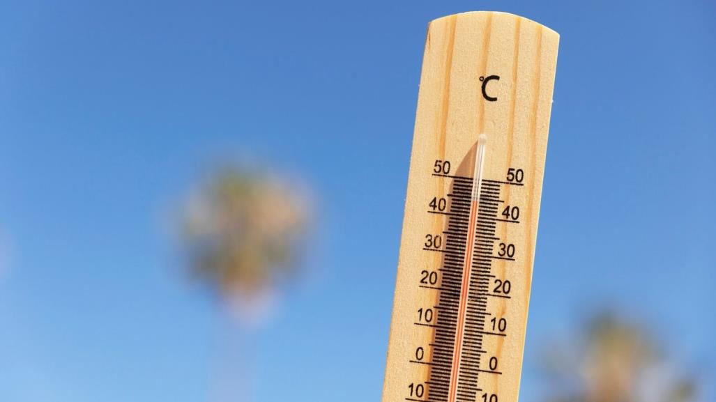 Continúa el calor extremo en Tamaulipas