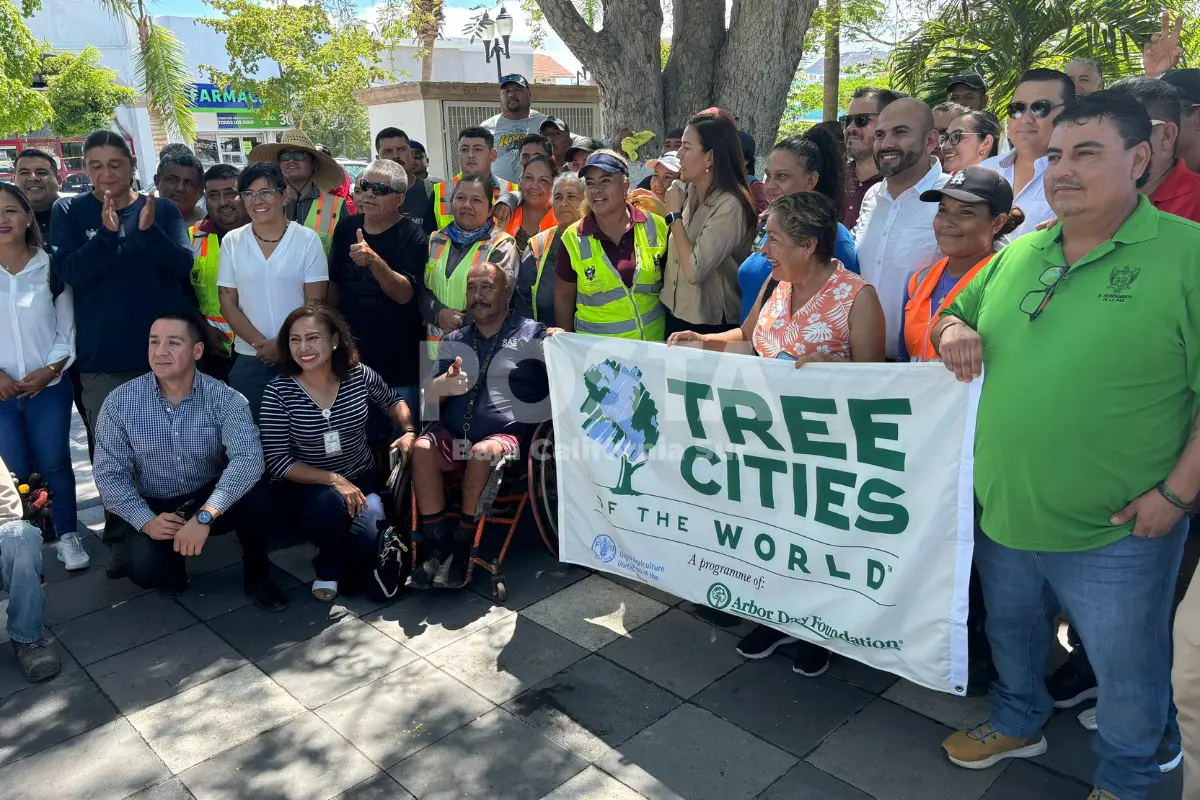 Ciudad árbol. Foto: Joel Cosio / POSTA BCS