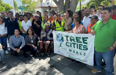 La Paz recibe reconocimiento internacional como Ciudad Árbol del Mundo