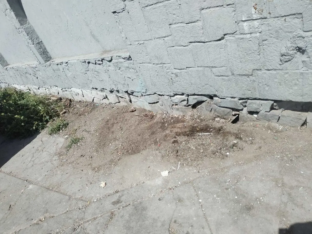 Servicios Públicos limpia basurero de Central camionera