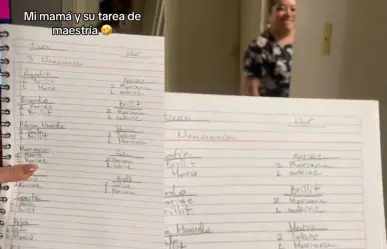 Madre de familia, más interesada en nominaciones de LCDLFMX2 que en maestría