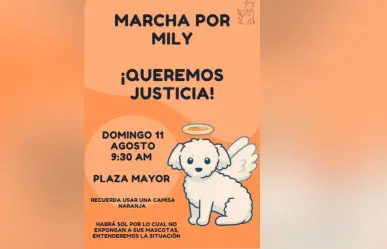 Convocan a marcha en Torreón para exigir justicia por la perrita Mily