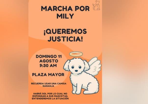 Convocan a marcha en Torreón para exigir justicia por la perrita Mily