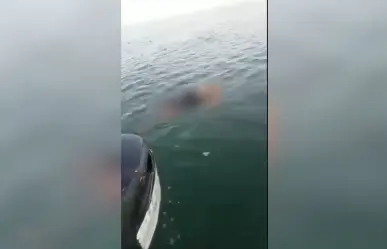 Encuentran cuerpo sin vida flotando frente al muelle de Chicxulub Puerto