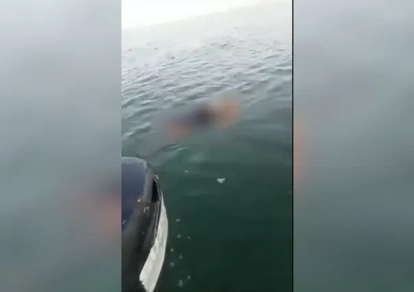 Encuentran cuerpo sin vida flotando frente al muelle de Chicxulub Puerto