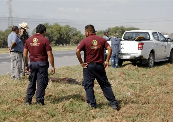 Muere osa atropellada en Escobedo