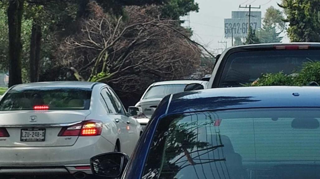 Árbol caído bloquea Boulevard Aeropuerto y causa tráfico pesado