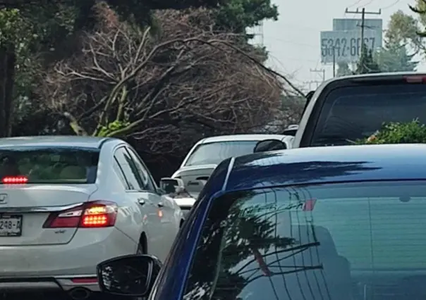 Árbol caído bloquea Boulevard Aeropuerto y causa tráfico pesado