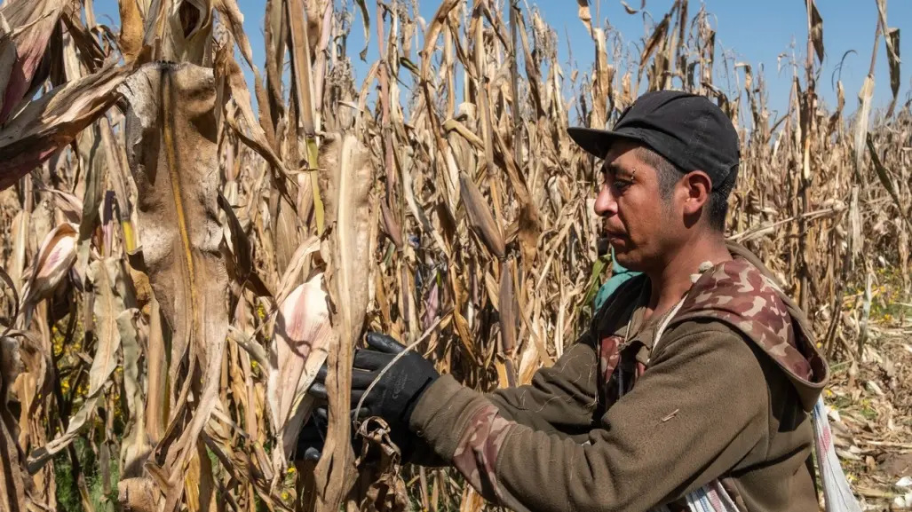 Abren apoyo para familias ante fallecimiento de campesinos ¡Conoce el programa!