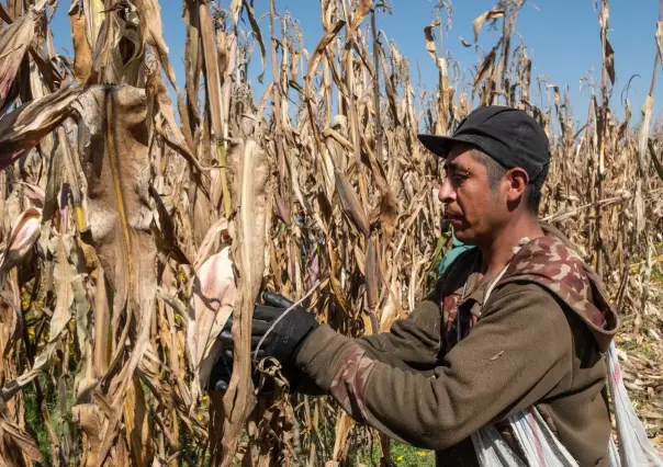 Abren apoyo para familias ante fallecimiento de campesinos ¡Conoce el programa!